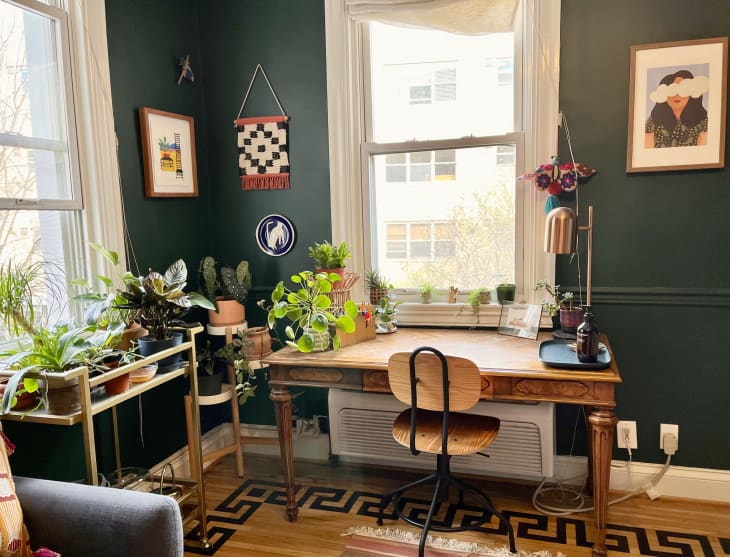 This Washington D.C. Co-Op Is Colorful Plant Maximalism